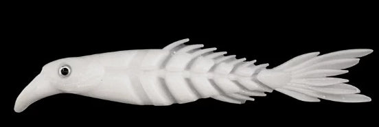 🐟 Soft Bait Articolato Bicolore 10cm – Confezione da 6 pezzi